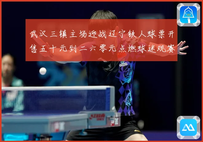 武汉三镇主场迎战辽宁铁人球票开售五十元到二六零元点燃球迷观赛数据研判-深度解析