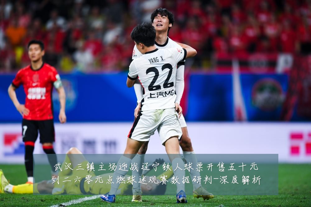 武汉三镇主场迎战辽宁铁人球票开售五十元到二六零元点燃球迷观赛数据研判-深度解析